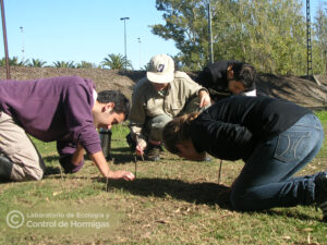 Equipo del laboratorio marcando entradas de los nidos para excavar
